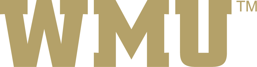 Western Michigan Broncos 2016-2021 Wordmark Logo diy iron on heat transfer...
